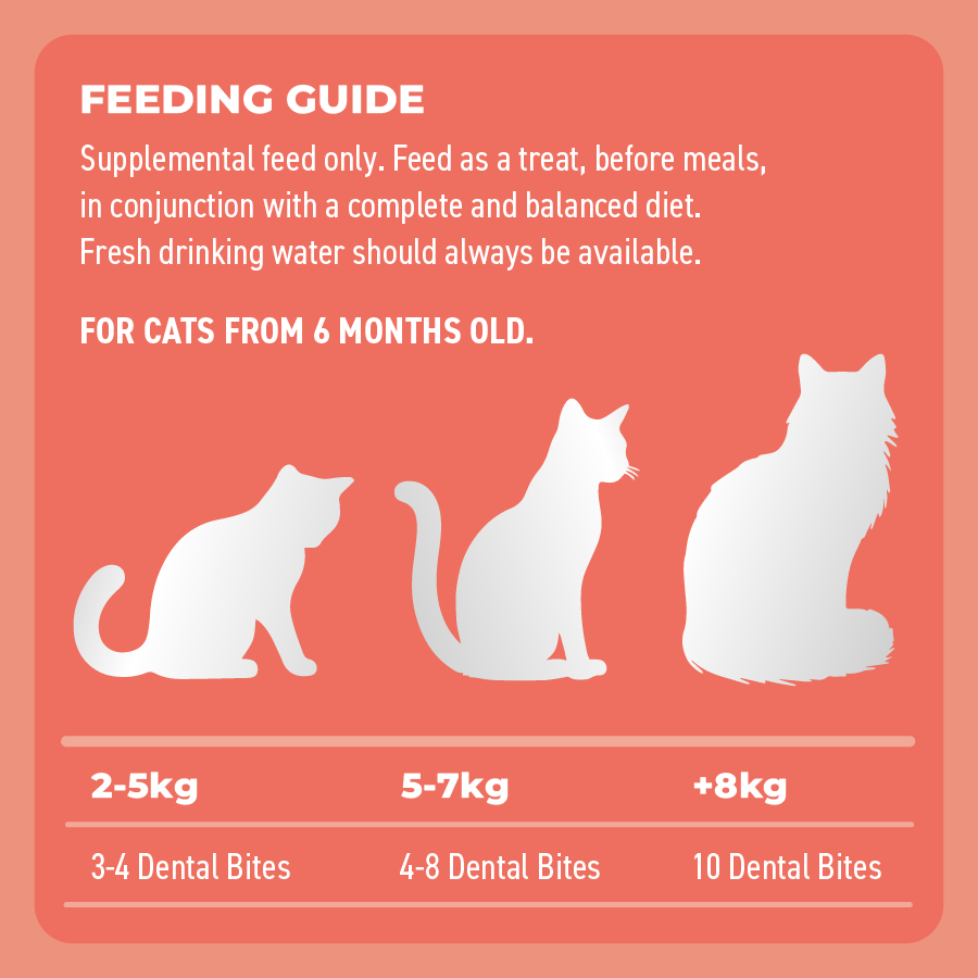 Bell & Bone Dental Bites Salmon With Charcoal Cat Treats 80G