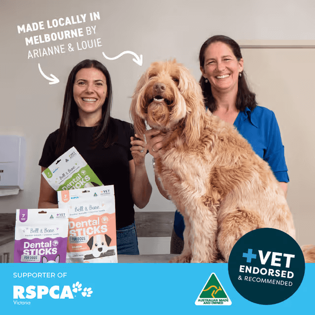 Bell & Bone Dental Stick Lamb, Mint, Manuka Honey Dog Treat 7 Pack vet recommended