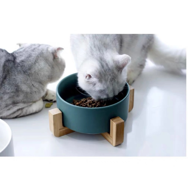 beloved pet ceramic cat bowl with wooden holder display