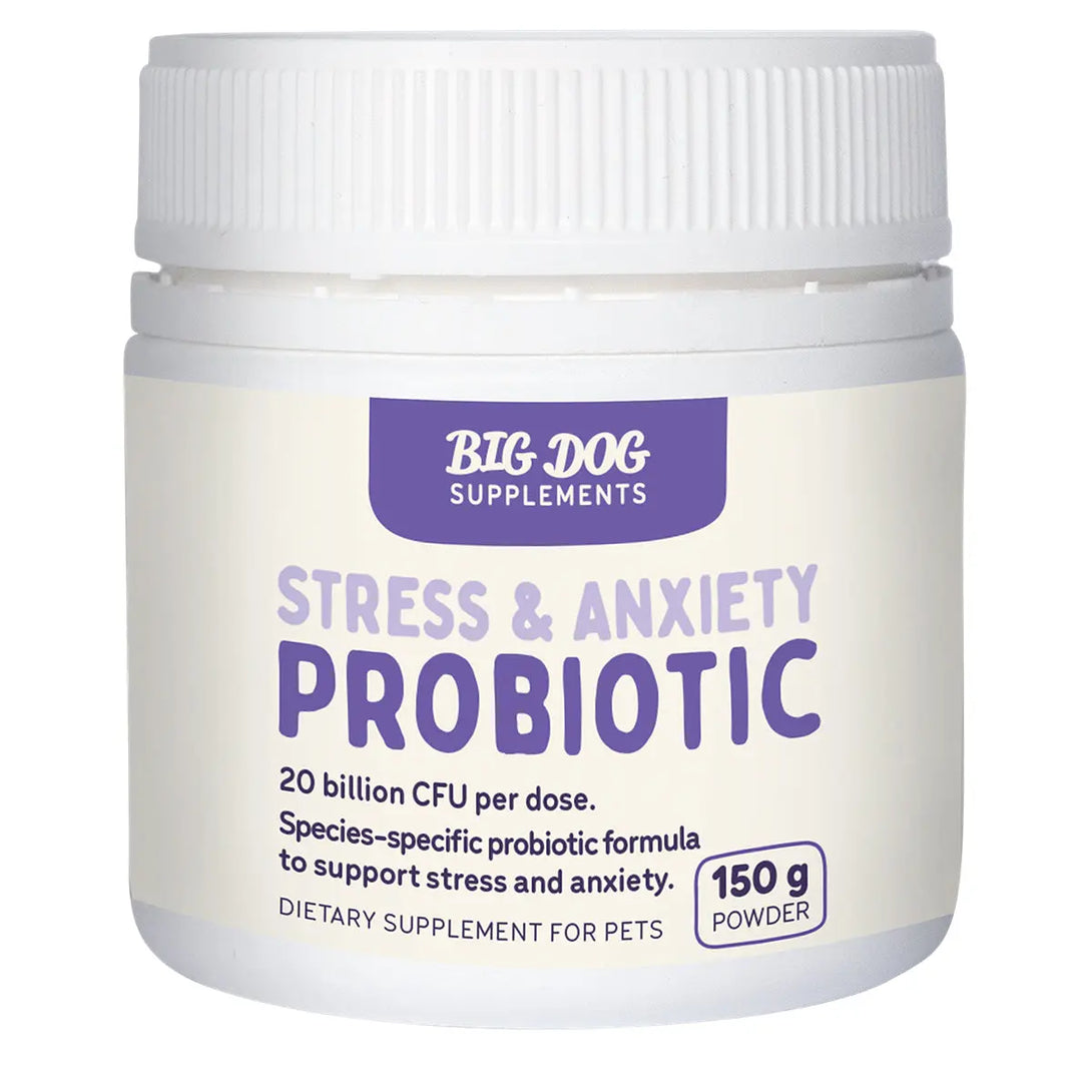 A container of Big Dog Stress & Anxiety Probiotic, with the label indicating 20 billion CFU per dose, 150g size, and targeted for pets.