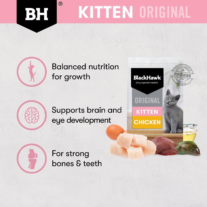 black hawk chicken original kitten dry cat food benefits