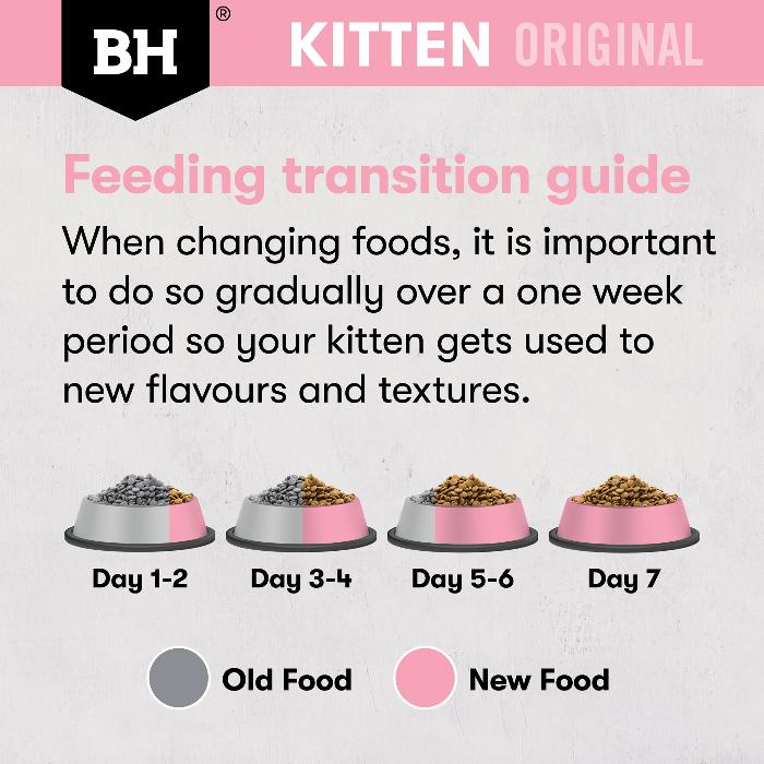 black hawk chicken original kitten dry cat food feeding transition guide