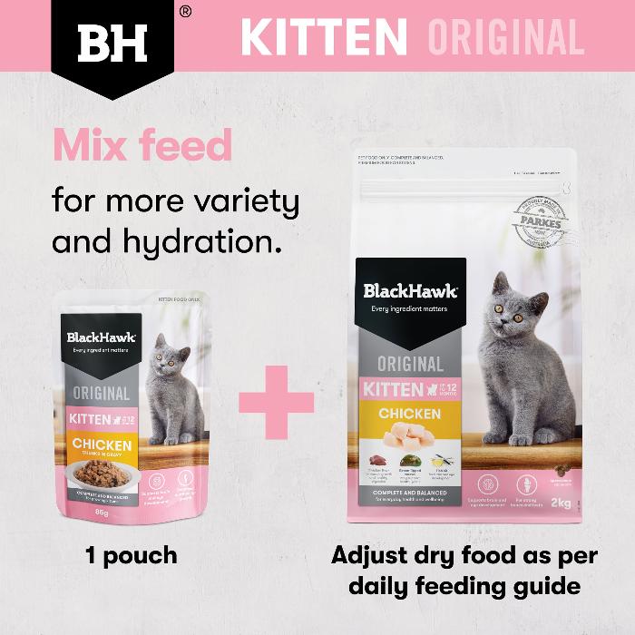 black hawk chicken original kitten dry cat food mix feed