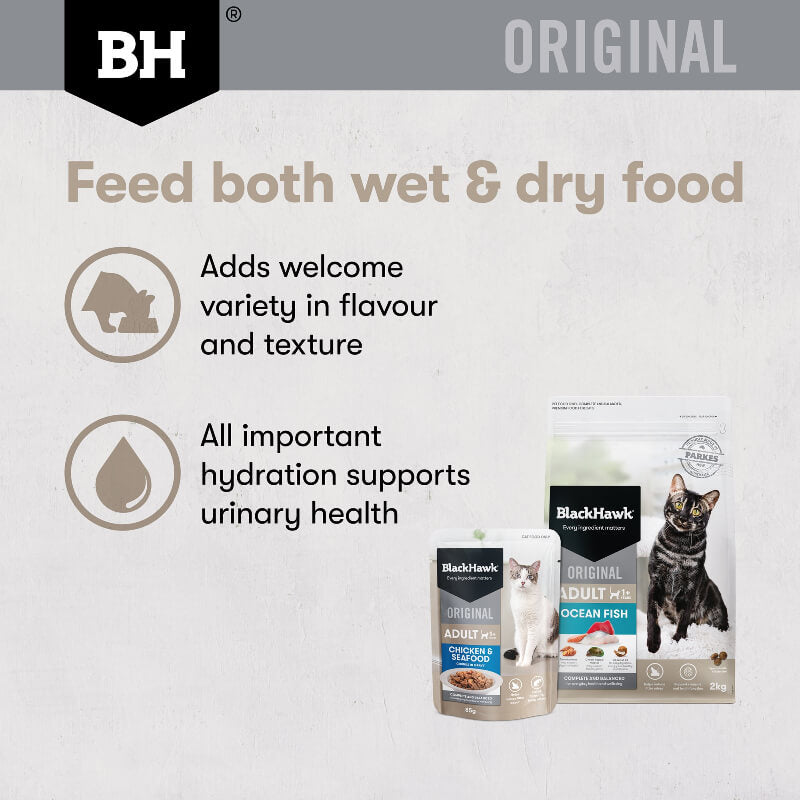 Black Hawk Chicken Gravy Adult Wet Cat Food benefits of feed both wet and dry food