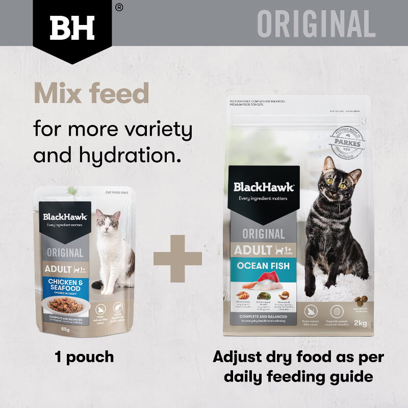 Black Hawk Chicken Gravy Adult Wet Cat Food mix feed with black hawk ocean fish dry food for more variety and hydration