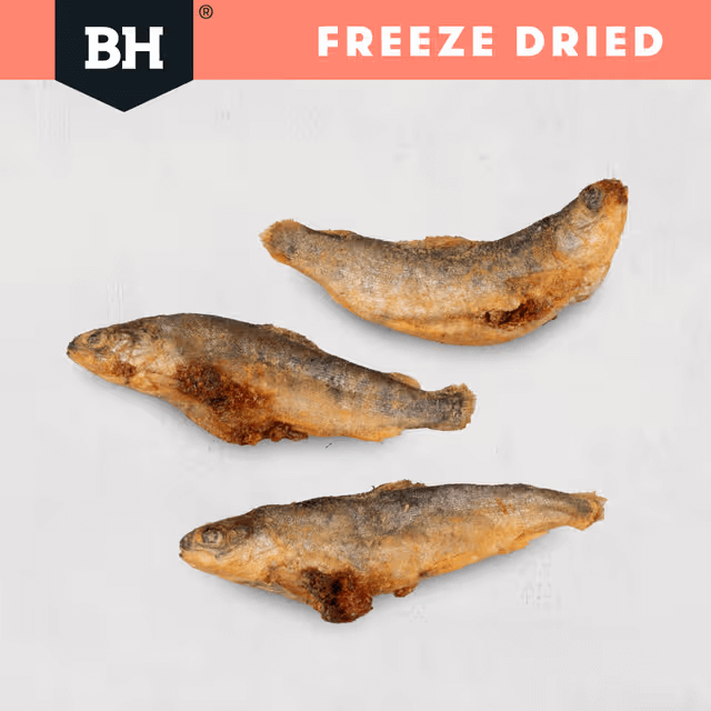 Black Hawk Freeze Dried Whole Salmon Dog Treats food display
