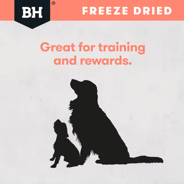 Black Hawk Freeze Dried Whole Salmon Dog Treats great for trainning rewards