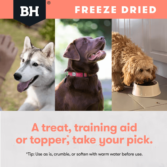 Black Hawk Freeze Dried Whole Salmon Dog Treats use as topper