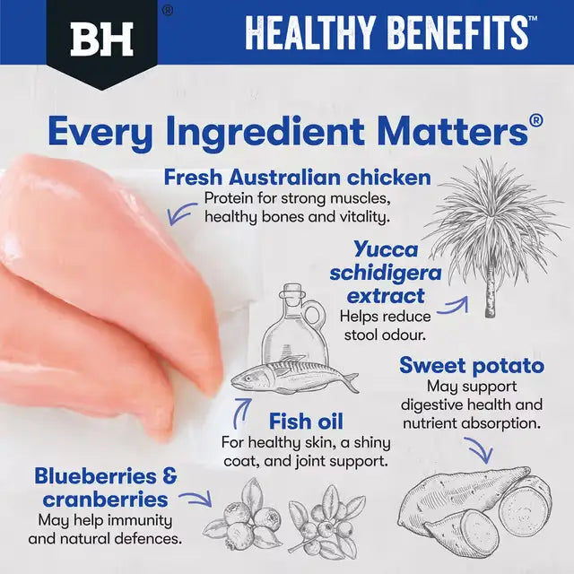 black hawk healthy benefits dental dry dog food ingredients benefits