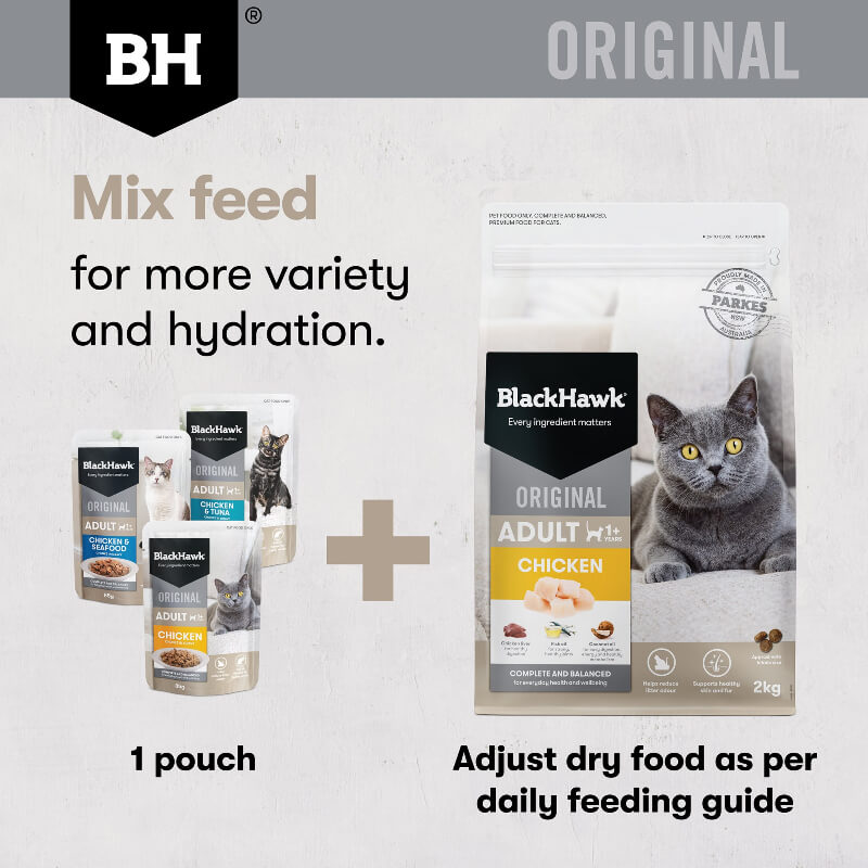 Black Hawk Chicken & Seafood Gravy Adult Wet Cat Food mix feed with black hawk chicken dry cat food 