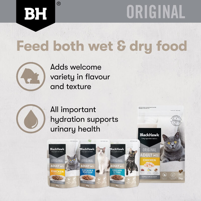 Black Hawk Chicken & Seafood Gravy Adult Wet Cat Food benefits of feed both wet and dry cat food