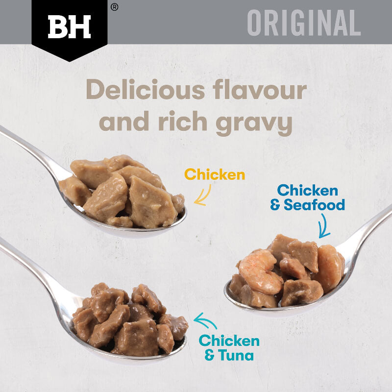 Black Hawk Chicken & Seafood Gravy Adult Wet Cat Food display on spoones