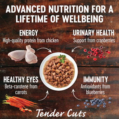 Wellness CORE Tender Cuts Chicken Selection Multipack Wet Cat Food