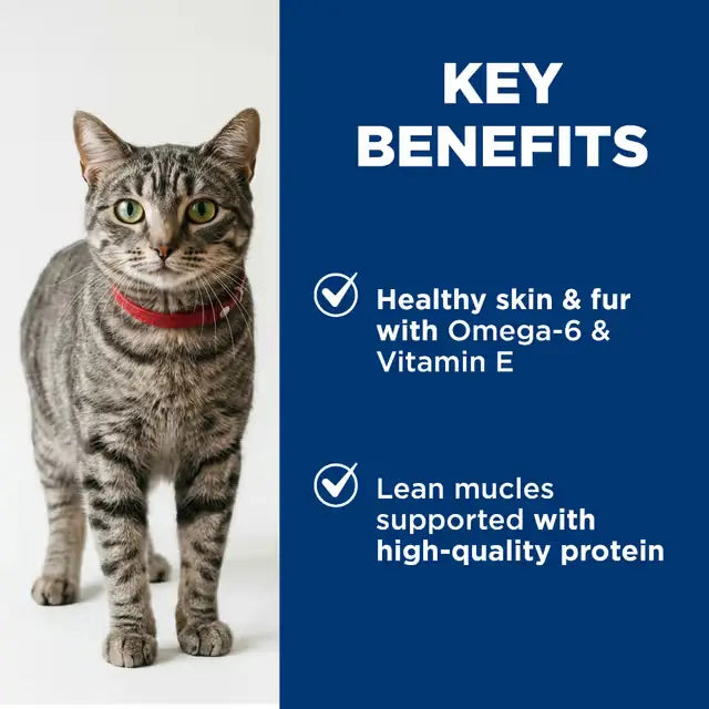 HILLS SCIENCE DIET Adult Chicken Wet Cat Food pouches key benefits