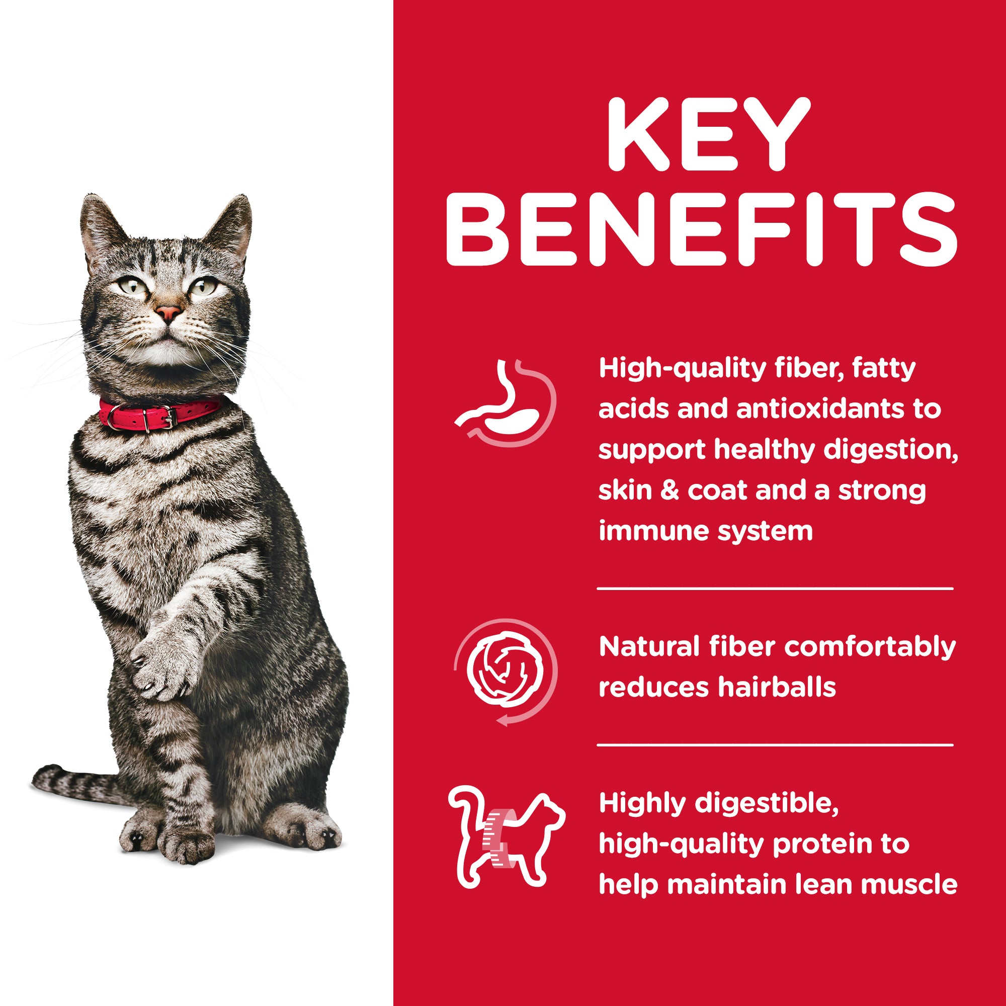 Hill's Science Diet Adult Urinary Hairball Control Dry Cat Food Chicken 3.17KG