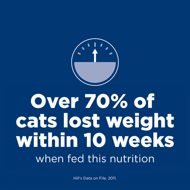 Hill's Science Diet Perfect Weight cat food weight management results within 10 weeks