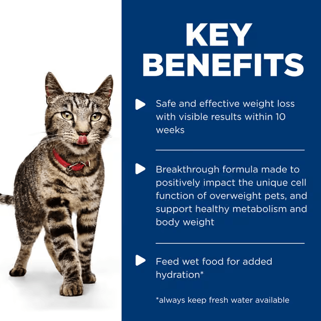 Hill's Perfect Weight Salmon wet cat food benefits for healthy weight, metabolism and hydration