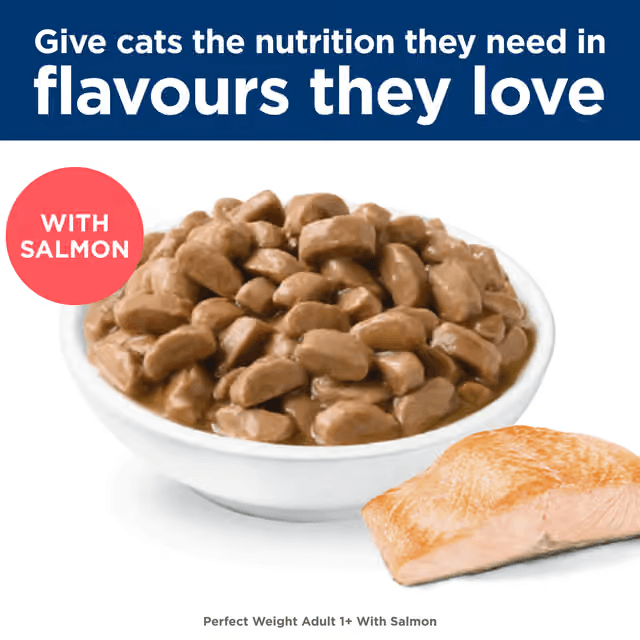 Hill's Science Diet Perfect Weight Salmon wet cat food chunks in gravy