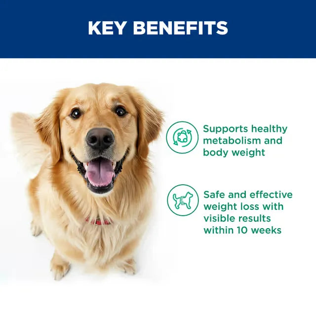 Hills Science Diet Perfect Weight Adult Dog Food key benefits