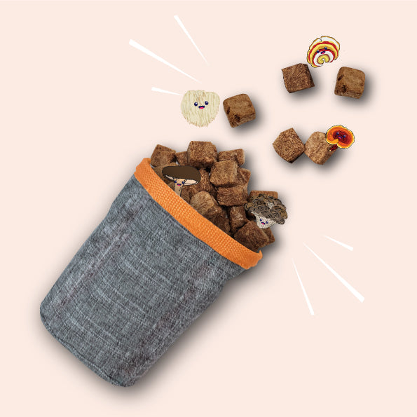 NATURAWR Mushroom Freeze Dried Dogs Treats 50G