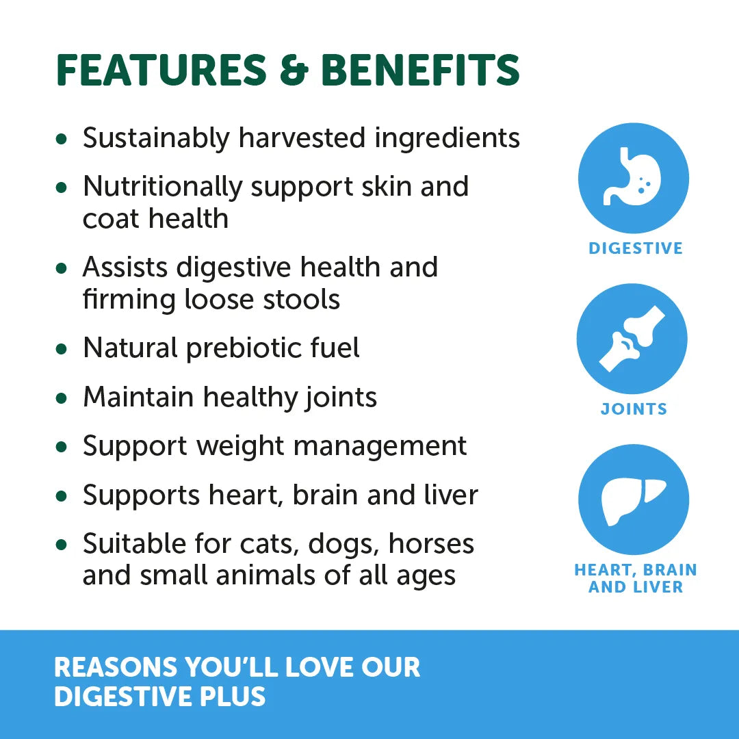 NATURAL ANIMAL SOLUTIONS Digestavite Plus for Dogs and Cats 100g features and benefits