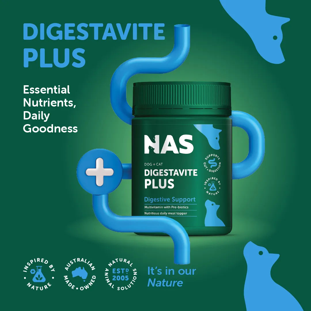 NATURAL ANIMAL SOLUTIONS Digestavite Plus for Dogs and Cats 100g lifestyle image