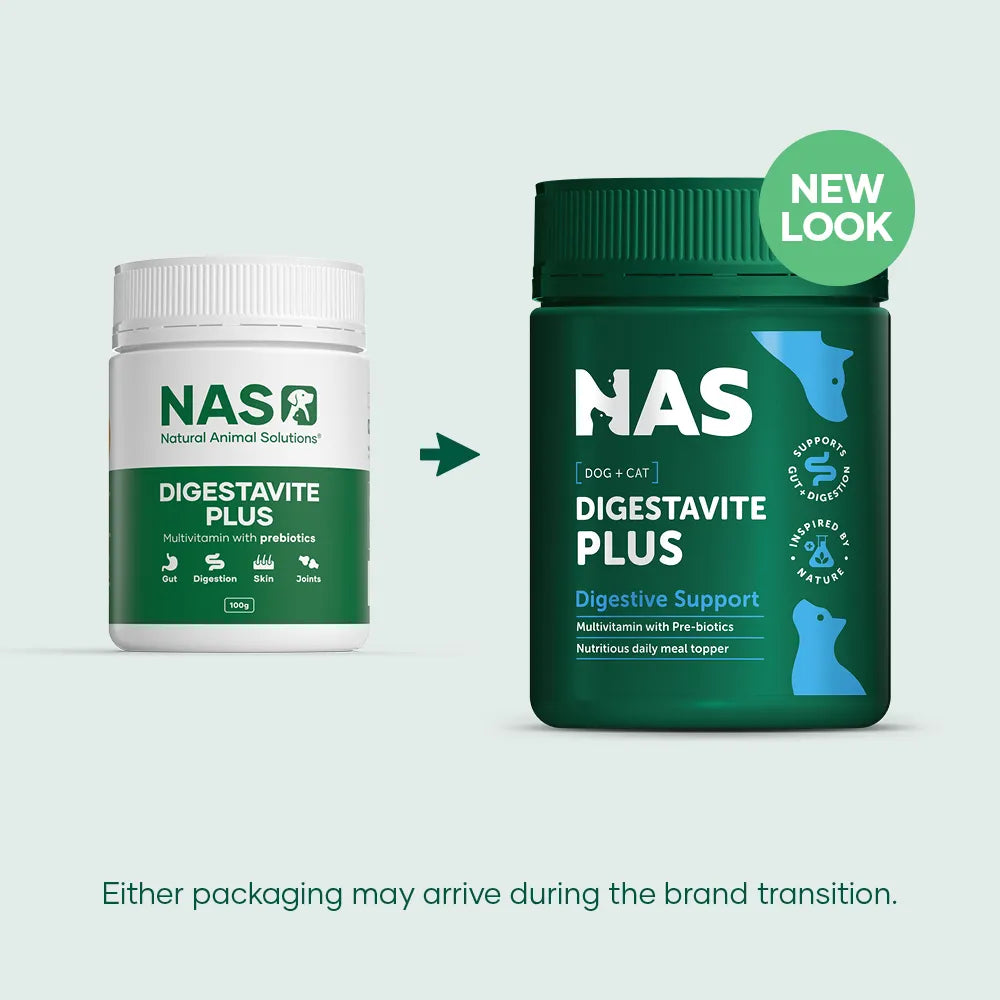 NATURAL ANIMAL SOLUTIONS Digestavite Plus for Dogs and Cats 100g new packaging