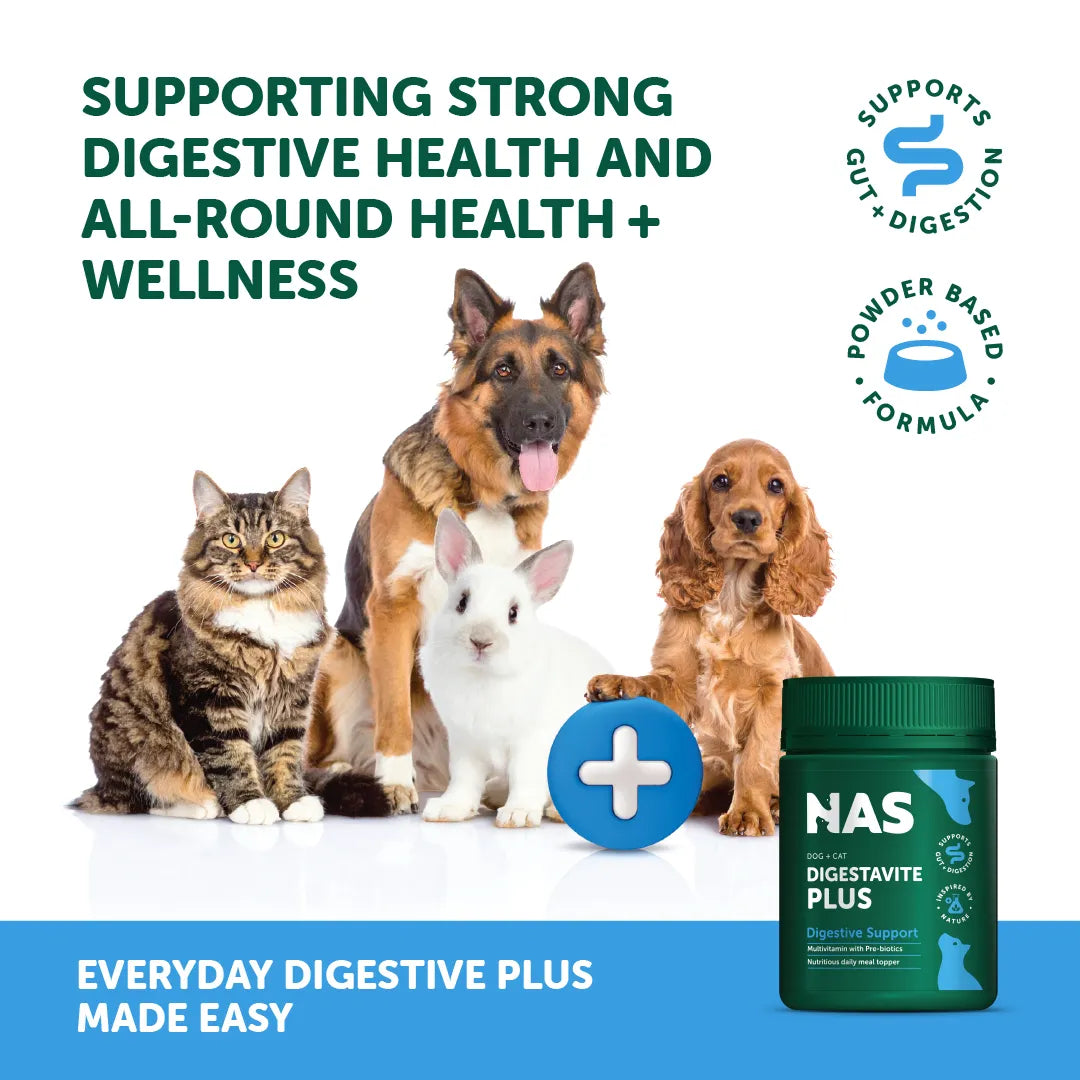 NATURAL ANIMAL SOLUTIONS Digestavite Plus for Dogs and Cats 100g support strong digestive health and health plus wellness