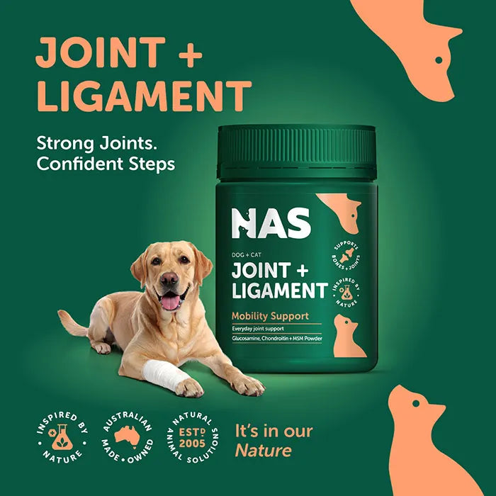 NATURAL ANIMAL SOLUTIONS Joint and Ligament Powder 120G lifestyle image