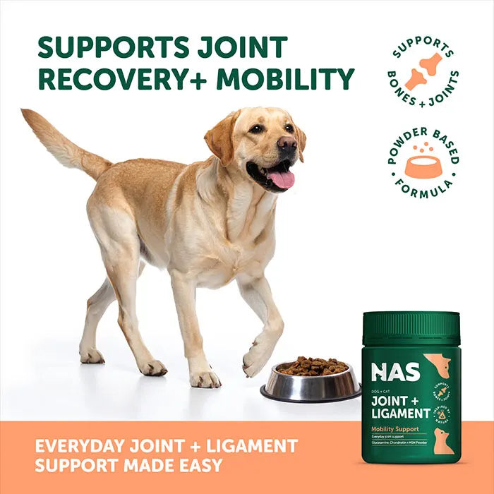 NATURAL ANIMAL SOLUTIONS Joint and Ligament Powder 120G support joint recovery and mobility