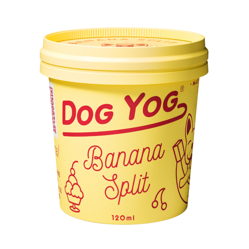 Dog Yog Banana Split 120 mL pot, angled view