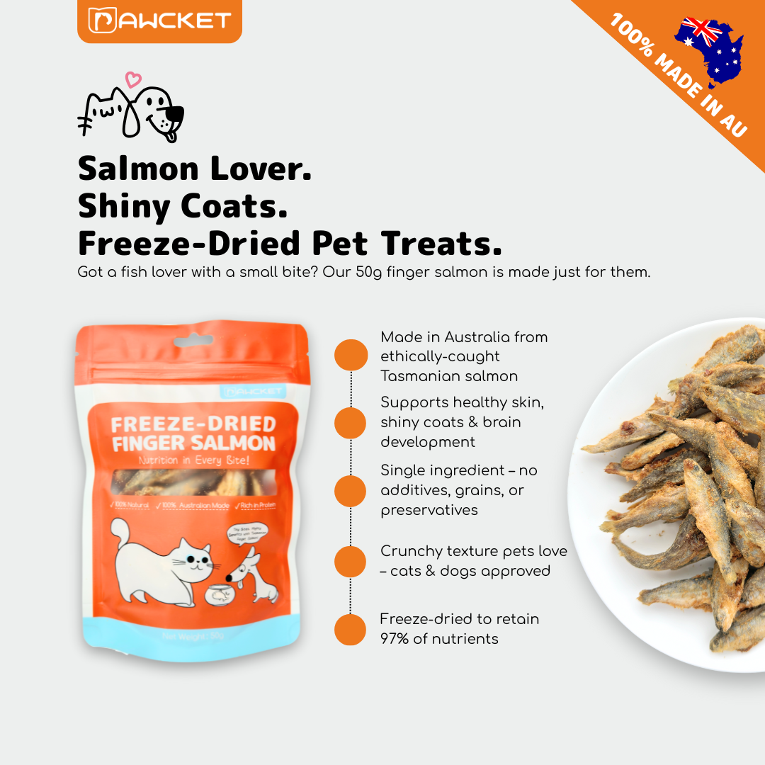 PAWCKET Freeze Dried Raw Baby Salmon Dog & Cat Treat 50G