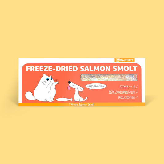 Pawcket Freeze Dried Raw Salmon Dog Treat 80G