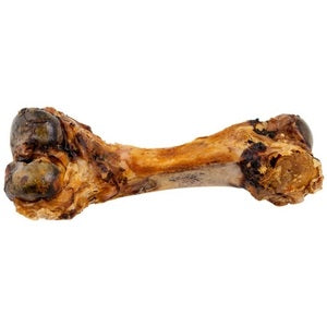 Blackdog Puppy Clod pork femur bone dog chew unwrapped, showing marrow centre and dried meat