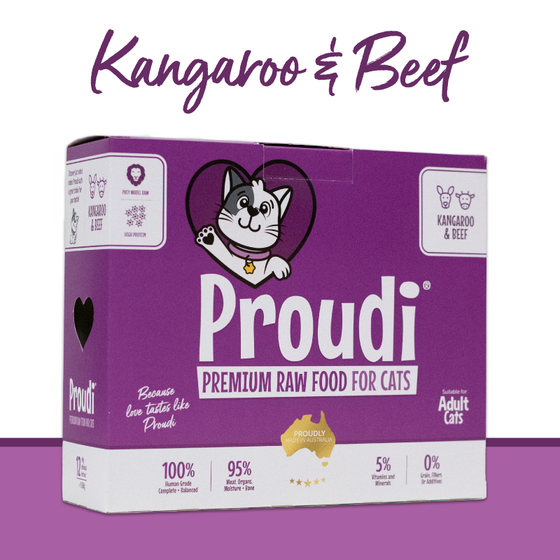 Proudi Raw Cat Food Roo & Beef 1.08KG