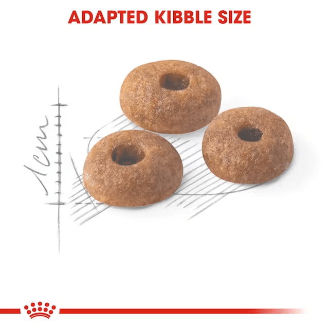 ROYAL CANIN Adult Dry Cat Food Fit32 kibble size