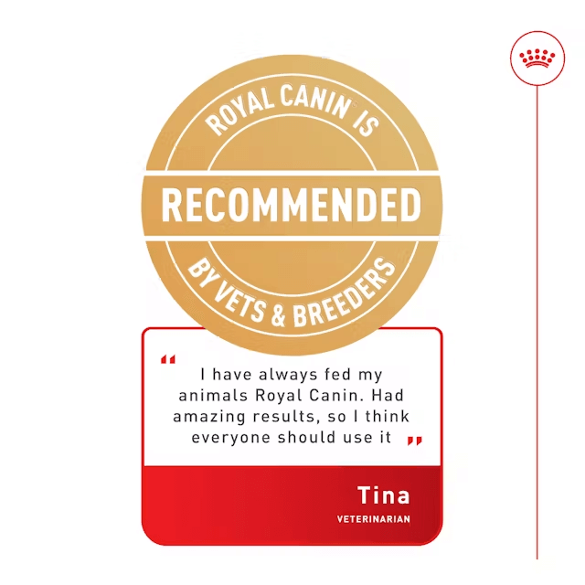 ROYAL CANIN Adult Dry Cat Food Fit32 vet recommended