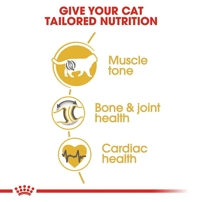Royal Canin british shorthair adult dry cat food features