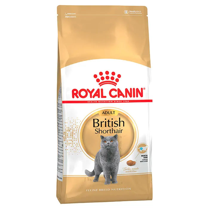 Royal Canin british shorthair adult dry cat food