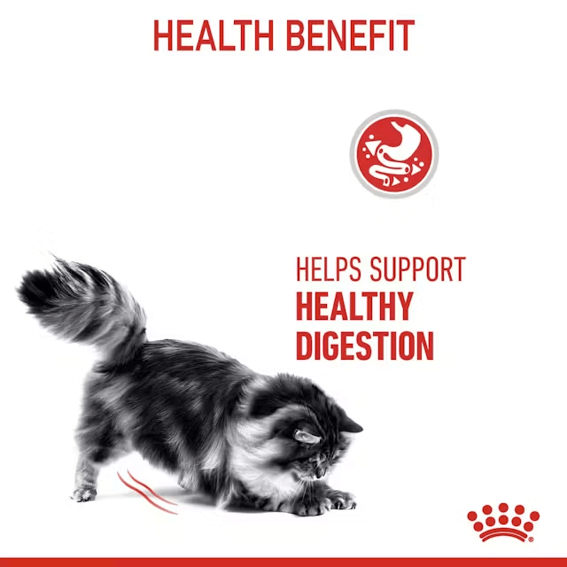 royal canin digestive care adult dry cat food health beneftis support healthy digestion