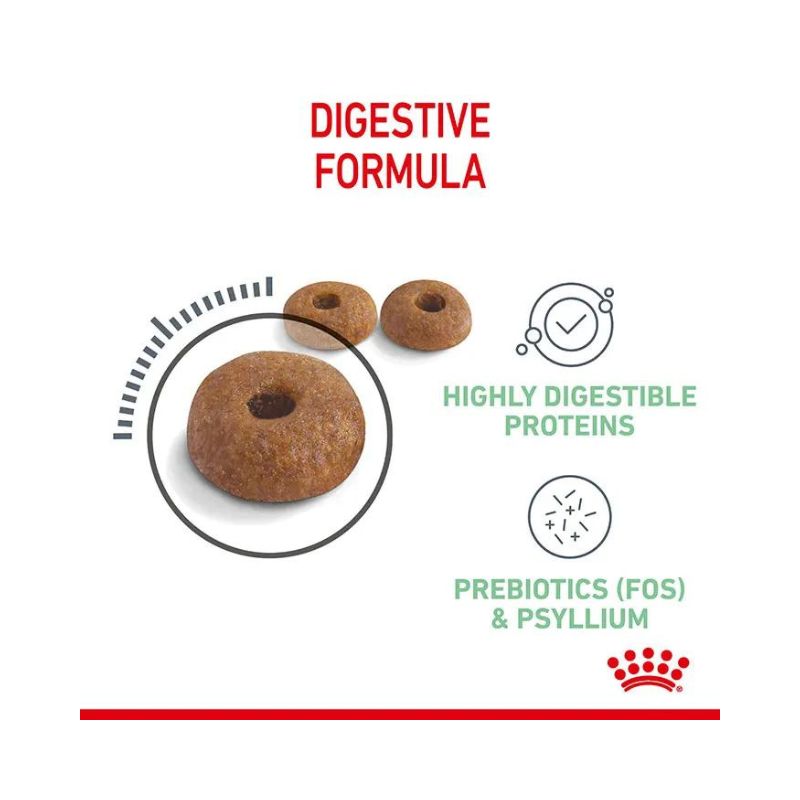 ROYAL CANIN Digestive Care Adult Dry Cat Food kibble size and shape