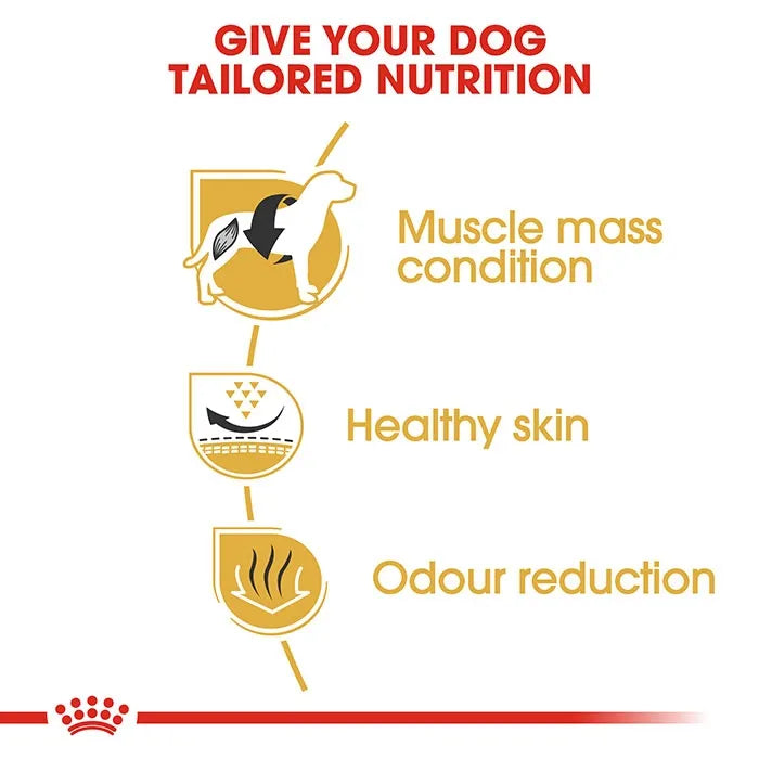 ROYAL CANIN French Bulldog Adult Dry Dog Food 9Kg_2