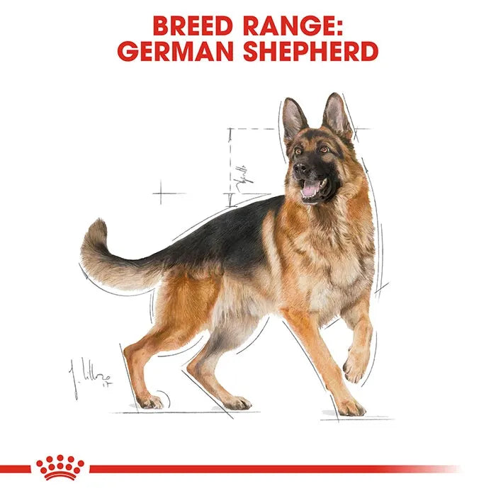 ROYAL CANIN German Shepherd Adult Dry Dog Food 11KG_1