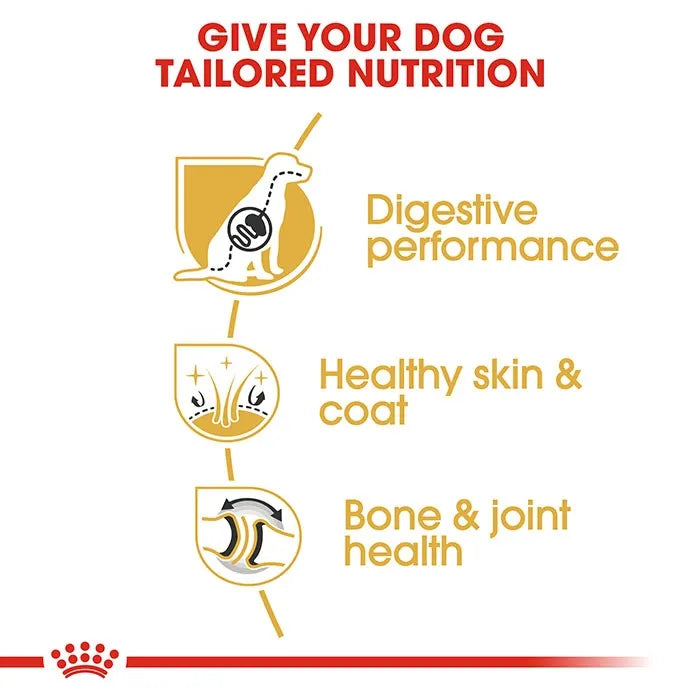 ROYAL CANIN German Shepherd Adult Dry Dog Food 11KG_2