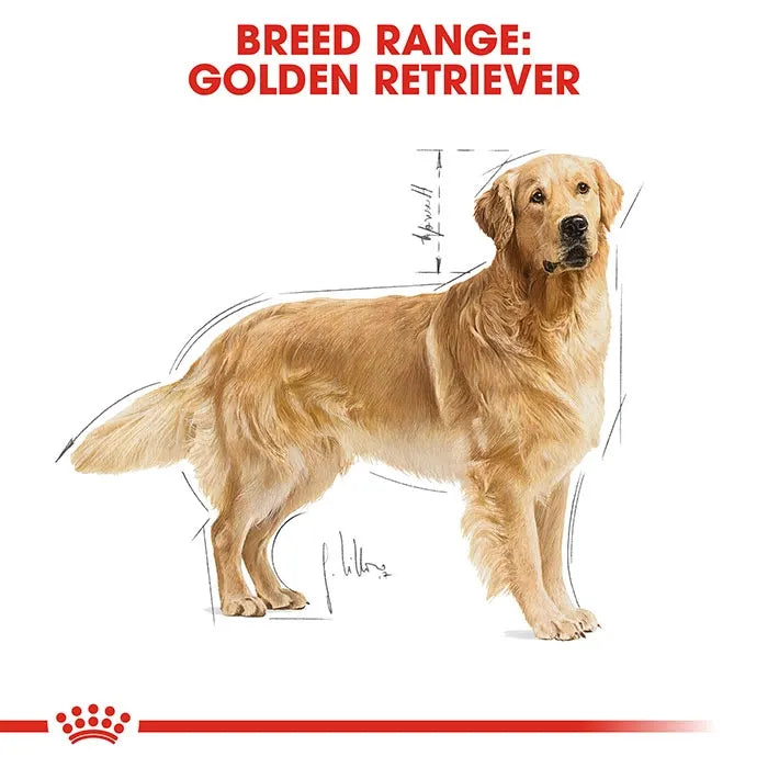 ROYAL CANIN Golden Retriever Adult Dry Dog Food 12KG_1