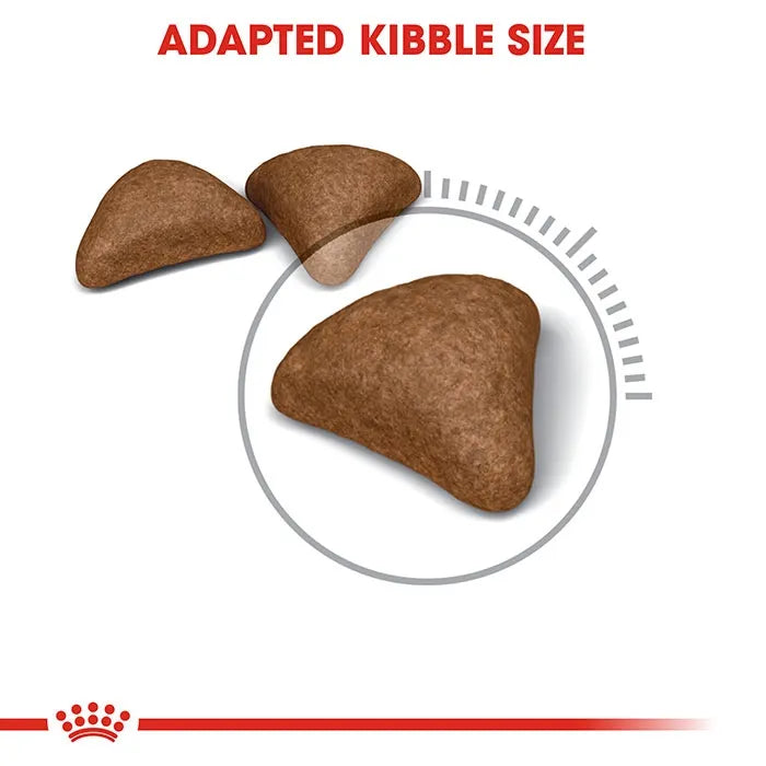 ROYAL CANIN Hairball Care Dry Cat Food 4KG kibble size
