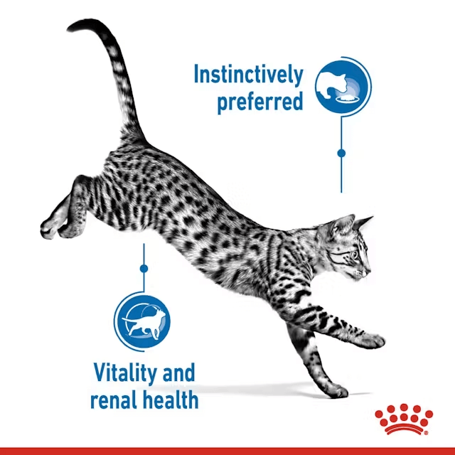 ROYAL CANIN Indoor 7+ Mature Gravy Wet Cat Food Pouch features
