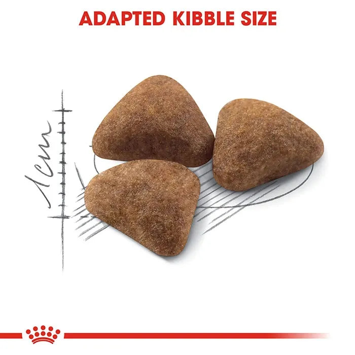 ROYAL CANIN Indoor Adult Dry Cat Food kibble 