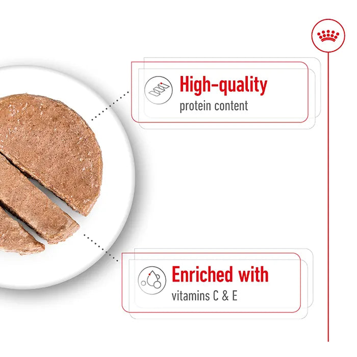 ROYAL CANIN Loaf Medium Adult  Wet Dog Food features