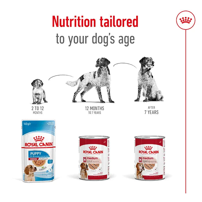 ROYAL CANIN Loaf Medium Adult  Wet Dog Food nutrition tailored